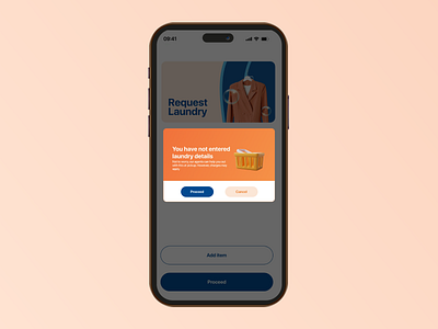 Laundry Request App branding delivery graphic design laundry request ui