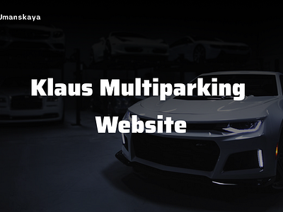 KZ Klaus Multiparking ui ux web design