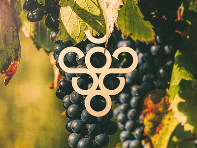 Viñedo Santa Susana bordeaux brand branding grape grid logo monogram s vine vineyard wine
