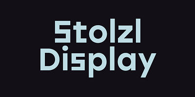 Stolzl Display Type Family Font animation branding design graphic design illustration logo typography vector