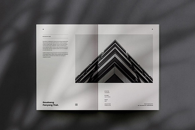 Architecture Portfolio branding design graphic design