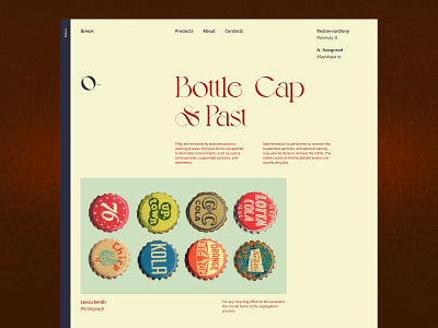 Website about collecting typography visual design web web design
