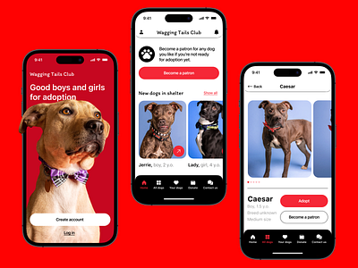 🐕 Dog Shelter App Concept animals app design charity dog shelter dogs ios iphone k9 mobile pets service design ui ux