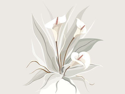 Flowers Calla lily art beautiful calla lily flat flora graphic design illustration leaves nature plants vector