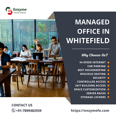 Managed Office in Whitefield branding design graphic design