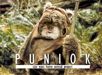 puniok star animals dog ewok jungle project puniok star wars