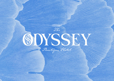 Odyssey brandidentity branding design graphic design hotel hotelbranding illustration inspiration logo logodesign stationary typography ui ux vector