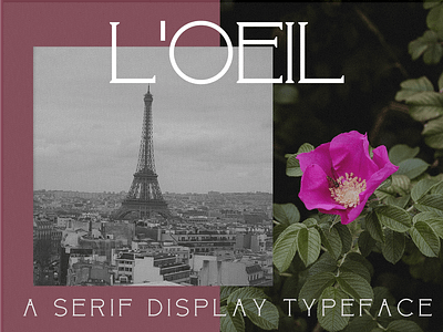 L'oeil | A Serif Display Typeface designed by OneTen The Studio branding brands font design fonts serif fonts type type design