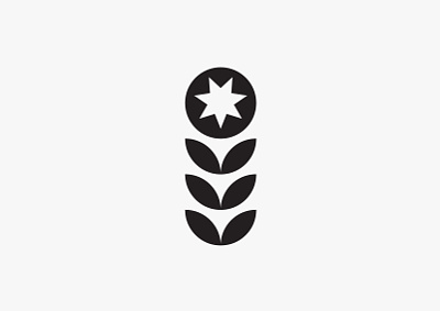 Botanical botanical design digital flower graphic design icon illustration leave logo minimal plant star vector