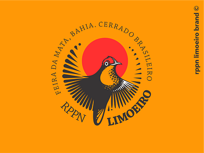 Limoeiro Natural Reserve bird branding brazilian forests