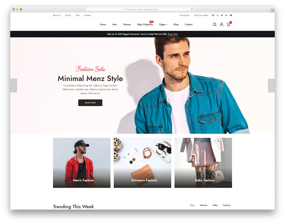 Example of Shopify Website Design & Development