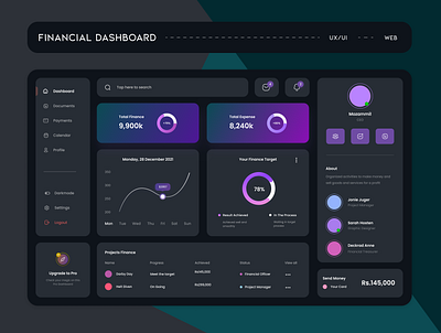 FINANCIAL DASHBOARD DESIGN graphic design ui