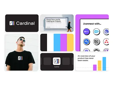 Cardinal branding branding bright compose data data visual database integration layers logo mockups product product design stacks