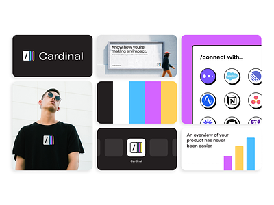 Cardinal branding branding bright compose data data visual database integration layers logo mockups product product design stacks