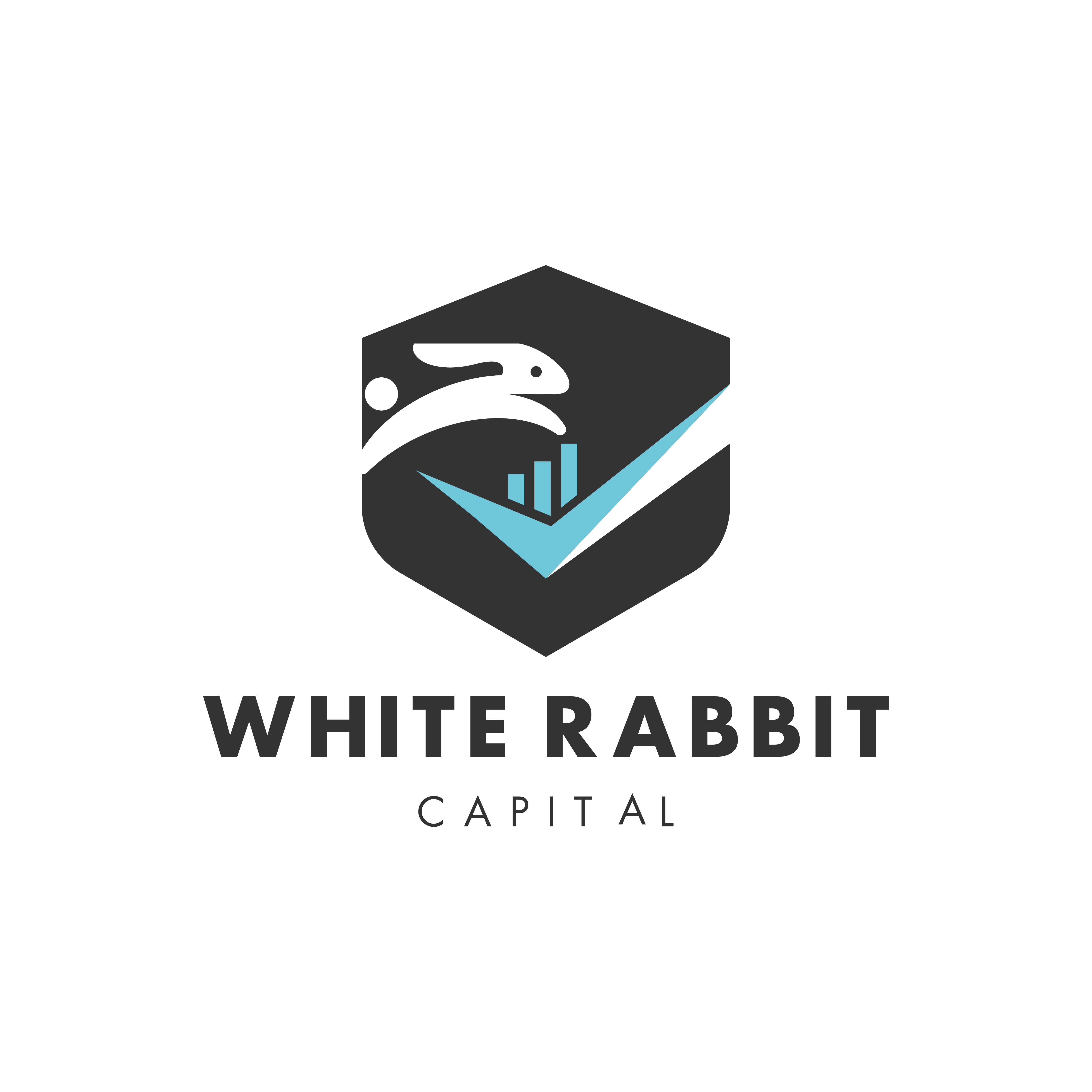 INVESTMENT COMPANY LOGO DESIGN accountlogo branddesign branding businesslogo capitallogo creativelogo financelogo flatelogo logo logodesign logofolio logomaker minimalistlogo modernlogo