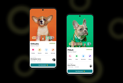 Pet adoption app adoption app design dogs pets ui