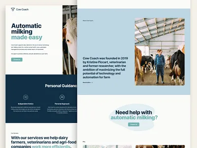 Website Design Cow Coach coach cow design home page landing page milking ui user experience user interface ux web design webdesign website website design