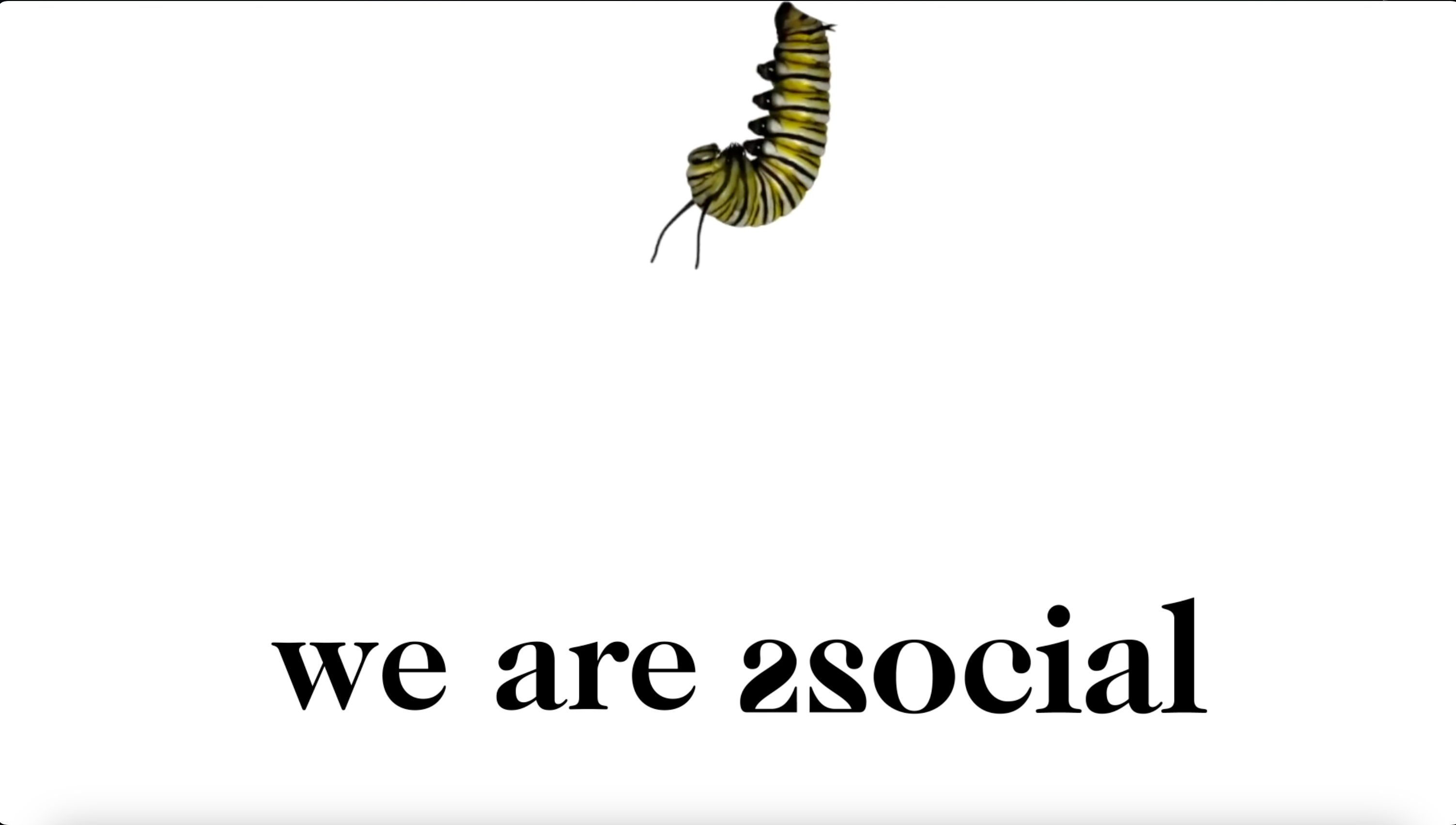 2Social Website Design branding motion graphics ui