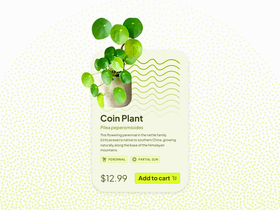 Coin Plant Product Card daily practice design design challenge figma graphic design photoshop typography ui ui challenge ui design ui design challenge ui practice userinterfacedesign visual design