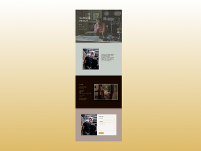 Samuel Ibach Website Concept branding design figma ui website
