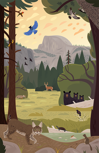 Yosemite Valley animals birds forest illustration national parks nature vector wildlife yosemite