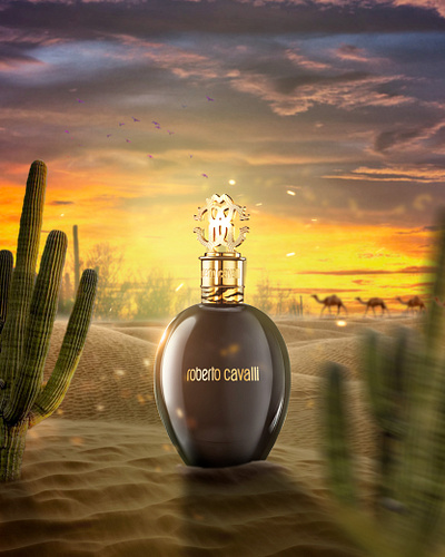 Parfum in the desert branding graphic design