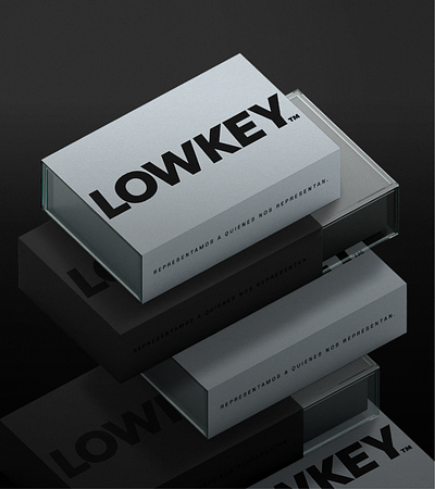 LOWKEY brand branding colors design graphic design logo street wear tshirt