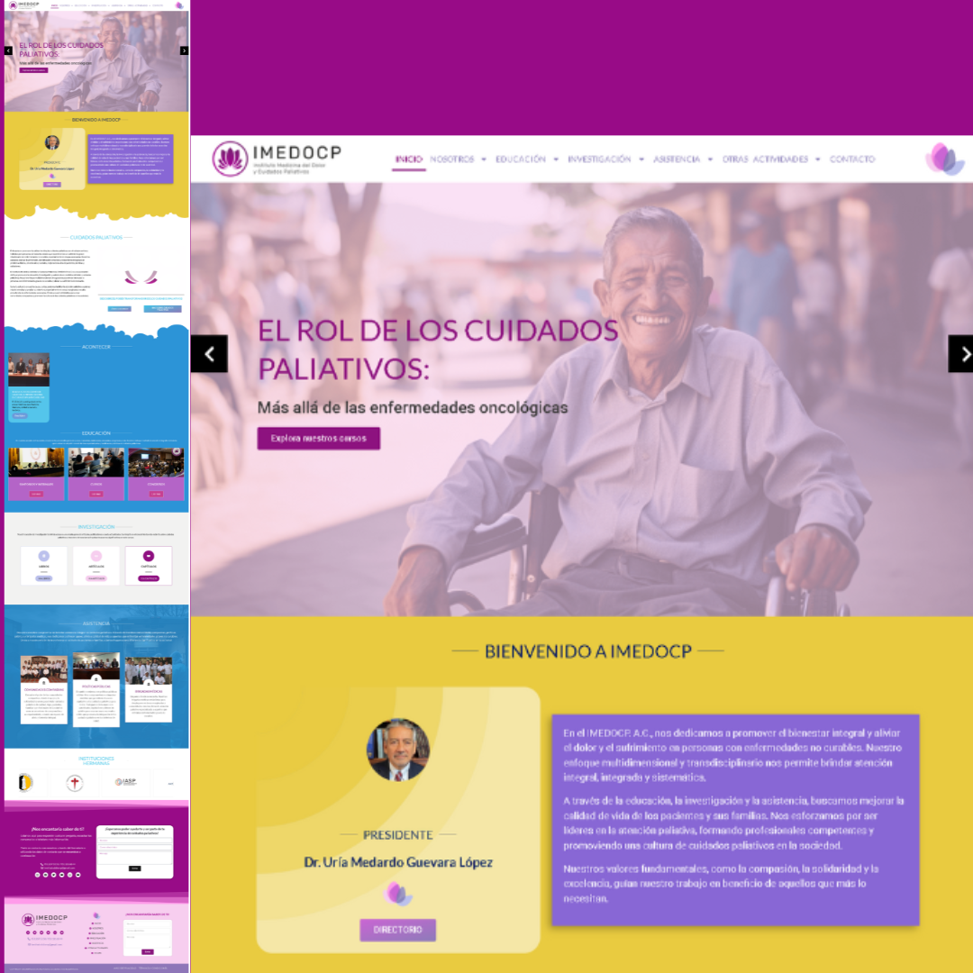 IMEDOCP WEB DESIGN /WORDPRESS diseño web elementor home page theme wordpress ui ux webdesign wocommerce wordpress