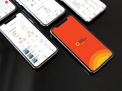UI Design - Solar App animation app branding design flat graphic design logo ui ux