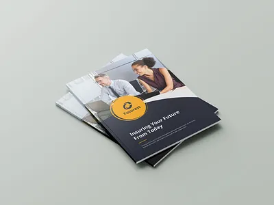 Brochure Design 8 page brochure app best better bi fold branding brochure design catalog design company profile corporate brochure creative design flyer graphic design minimal modern brochure most appreciated post professional school project