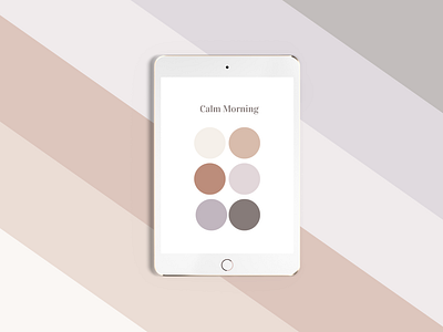 Calm Morning Color Palette branding color palette mockup