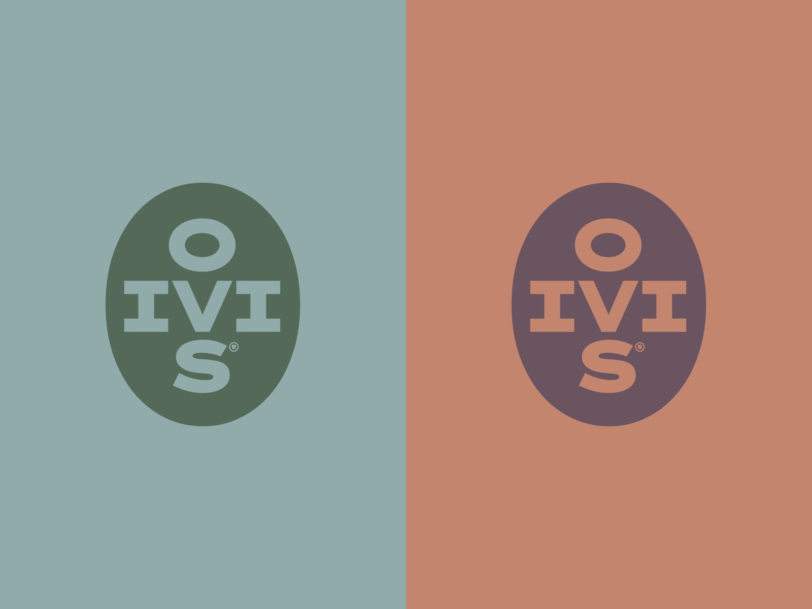 Oivis emblem branding design graphic design logo logotype vector