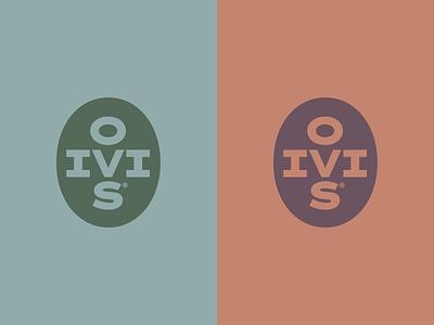 Oivis emblem branding design graphic design logo logotype vector
