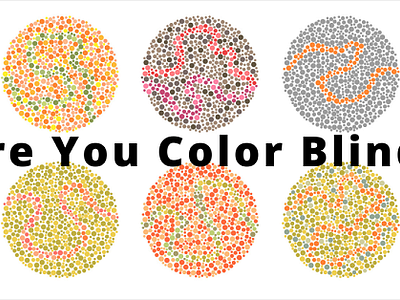 Color Vision: Understanding the Ishihara Color Deficiency Test by ...