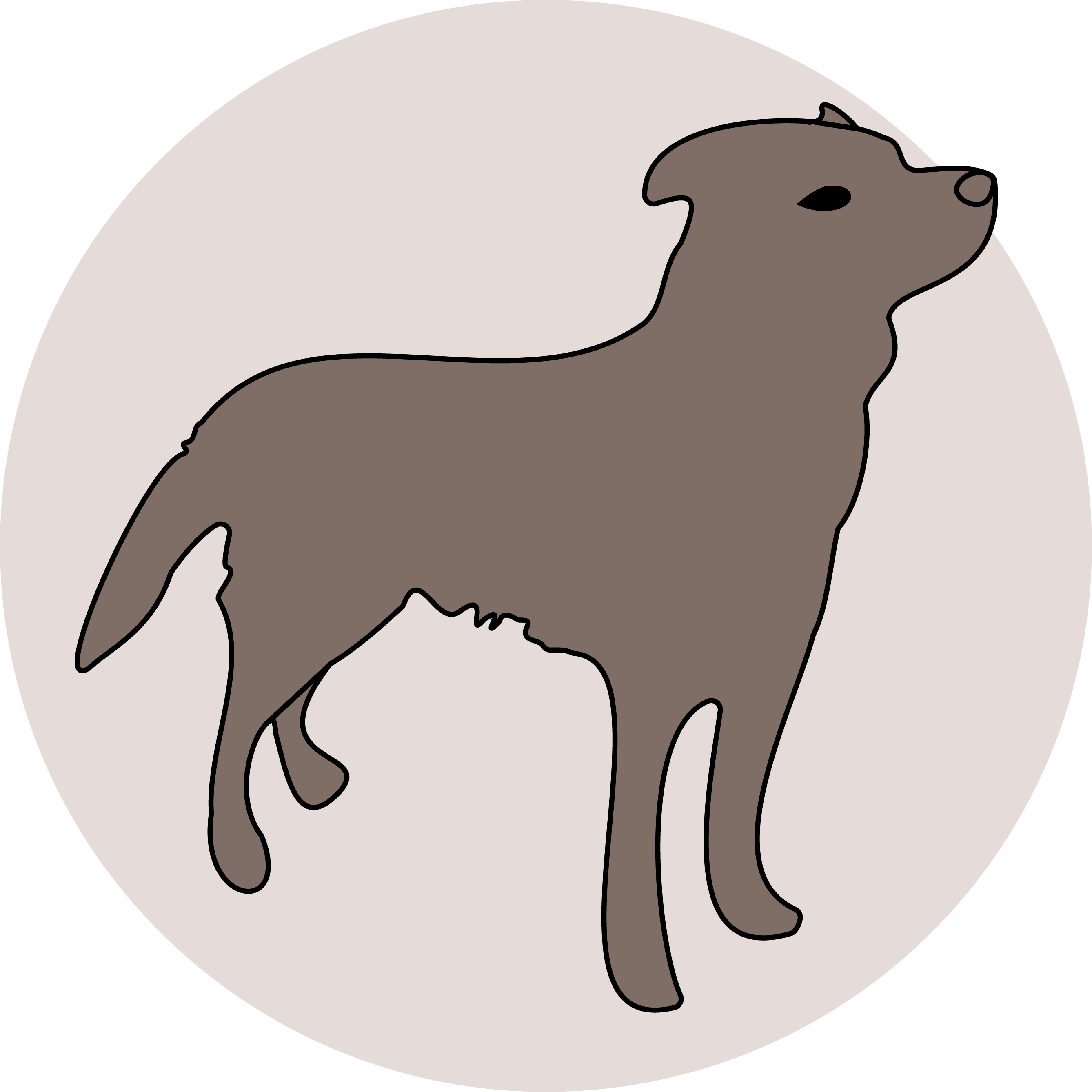 Playful Paws - Dog Icon adobe illustrator animals design dog graphic design icon illustration logo vector