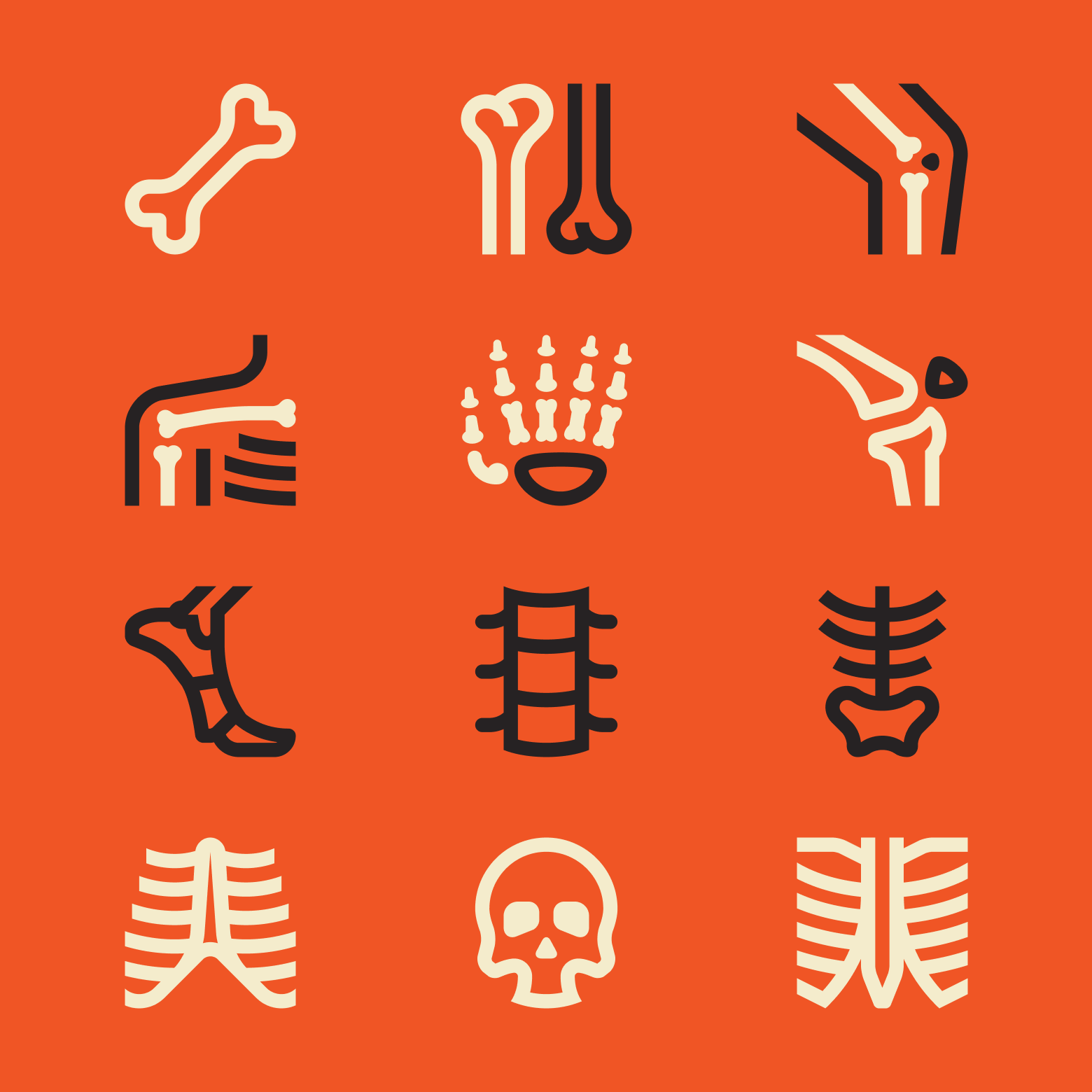 Human Bones anatomy bone bones chest bones finger bones foot hand bones hip human bones knee joint osteology pelvic ribs spine svg vertebra