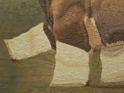 Bull after Brascassat, detail 1 animal animals bull collage detail paper texture