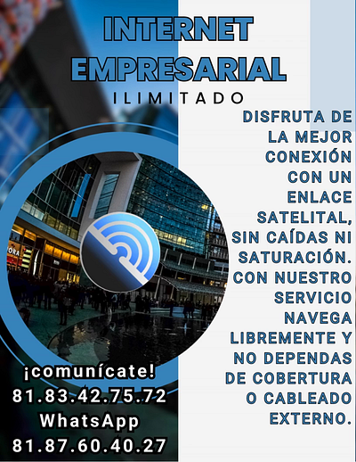 Internet Empresarial graphic design