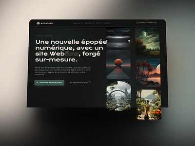 anil.studio, my own landing page. dark france ia ui ux webdesign webflow website