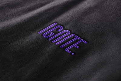 Ignite Logo Concept branding graphic design illustrator logo