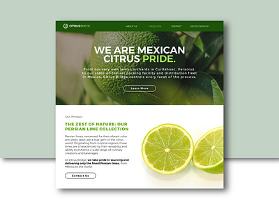 Citrus Bridge: Integral Corporate Identity branding graphic design logo ui ux web design
