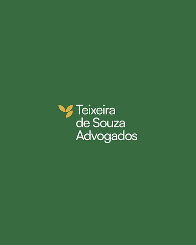 Teixeira de Souza Advogados - Branding & Design - 3 ads ads logo branding design graphic design identity design illustration logo ui vector