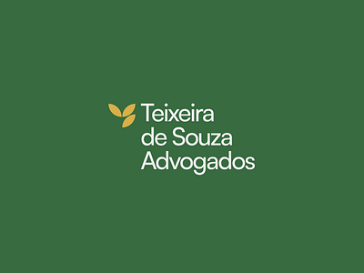 Teixeira de Souza Advogados - Branding & Design - 3 ads ads logo branding design graphic design identity design illustration logo ui vector