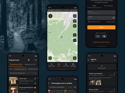 Mobile app for walking in the forest app ux