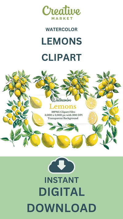 18 PNG WATERCOLOR LEMON GRAPHICS / CLIPARTS decorative design fruit art fuit illustration lemon clipart lemon element lemon graphics watercolor watercolor lemon watercolor lemon illustration