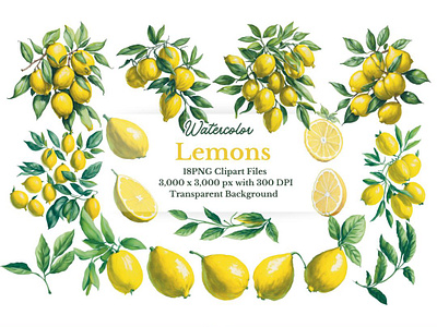 18 PNG WATERCOLOR LEMON GRAPHICS / CLIPARTS decorative design fruit art fuit illustration lemon clipart lemon element lemon graphics watercolor watercolor lemon watercolor lemon illustration