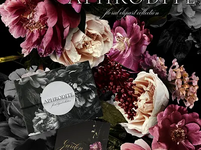 Aphrodite Floral Clip Art Collection app branding design graphic design illustration logo typography ui ux vector