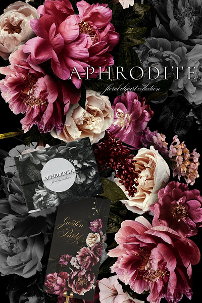 Aphrodite Floral Clip Art Collection app branding design graphic design illustration logo typography ui ux vector