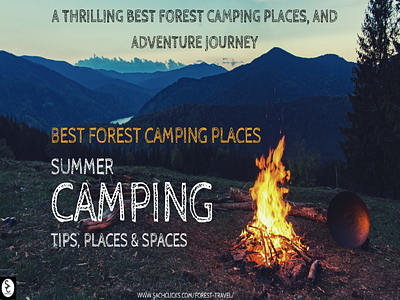 A Thrilling Best Forest Camping Places, and Adventure Journey advanture trip alaska best forest camping places best forest in the usa best forest in usa blogs california camping places danger forest discount florida forest miami read blog tour travel blog travel sale trip usa usa blog