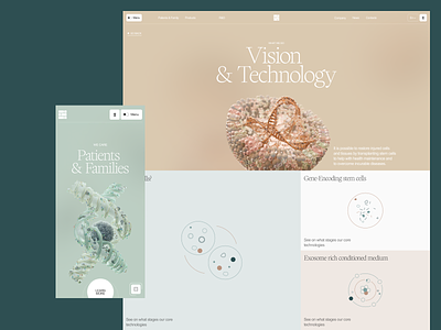 Designed Cells biotech clean design health medicine site stem cells ui ux web